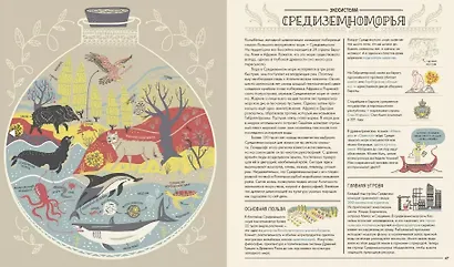 Большая маленькая планета. Экосистемы, или Как все живое взаимосвязано - фото 7