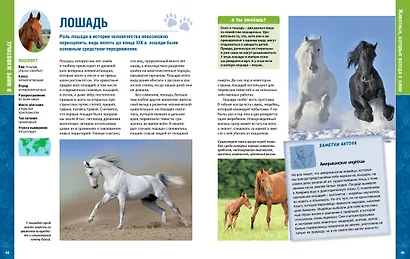 В мире животных - фото 8