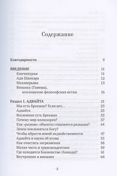 Голос Бога. Мудрость Ади Шанкары сквозь века - фото 3