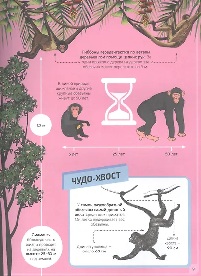 Животные - фото 3