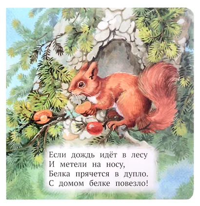 Кто где живёт? - фото 2