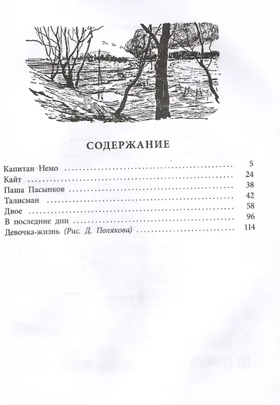 Девочка-жизнь - фото 3