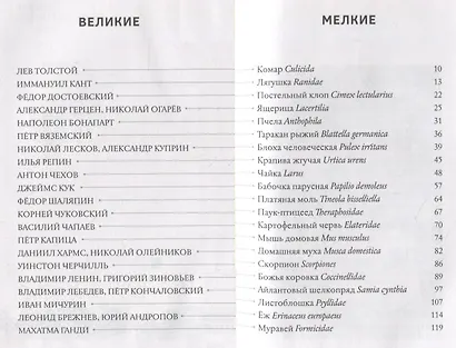 Великие и мелкие - фото 2