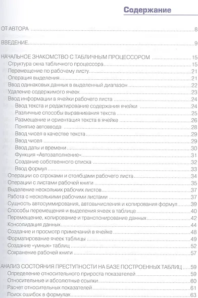 Работа полицейского в MS EXCEL 2013. Практическое пособие (+CD) - фото 2
