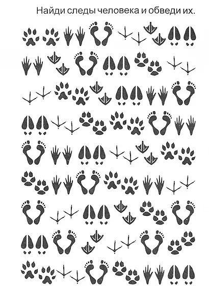 Блокнот с заданиями. IQничка. Шифровки - от строчки к строчке. Методика "Корректурные пробы". От 5 лет - фото 3