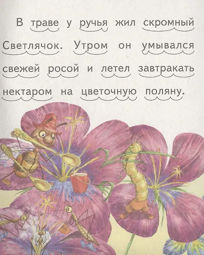 Бал у Светлячка - фото 2