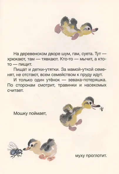 Когда утёнок вырастет? - фото 2