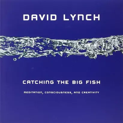 Catching the Big Fish : Meditation, Consciousness and Creativity - фото 1