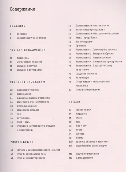 Рисуем кошку за 15 минут - фото 2