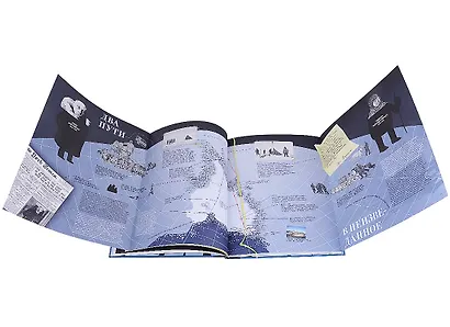 А - это Антарктида - фото 3