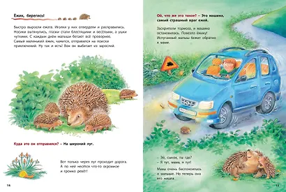 Как живут ежики. Познавательные истории - фото 3