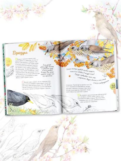 Птицы в городе - фото 5