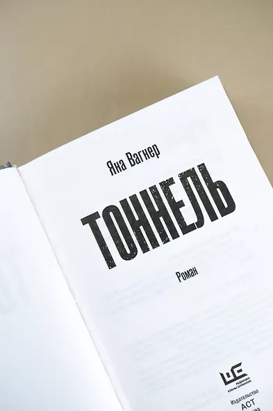 Тоннель. Роман - фото 11