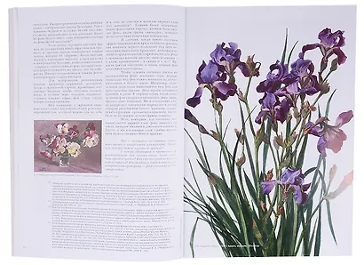 Как писать цветы. Часть II. Тайна цветка, тайна цвета. Учебно-методическое пособие - фото 6