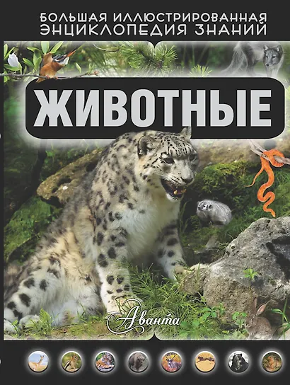 Животные - фото 1