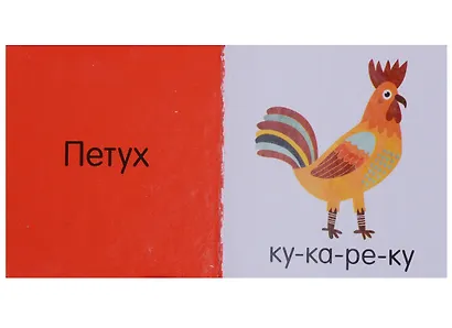 Познаем мир вместе. Мои первые знания. 15 книжек-кубиков - фото 3