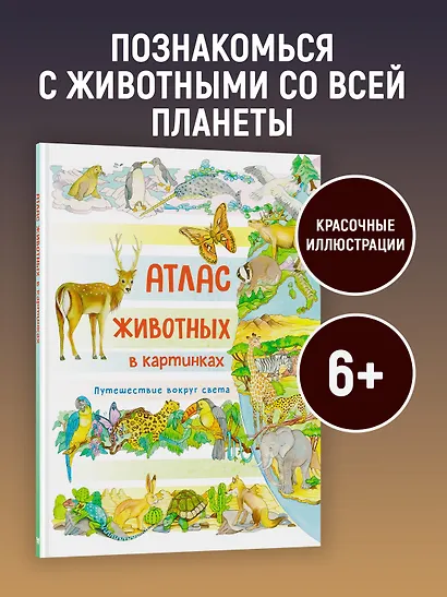 Атлас животных в картинках. Путешествие вокруг света - фото 4
