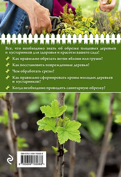 Садовая обрезка для богатого урожая - фото 2