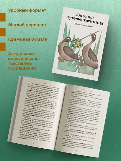 Лягушка-путешественница - фото 5