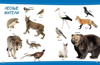 500 первых слов - фото 11