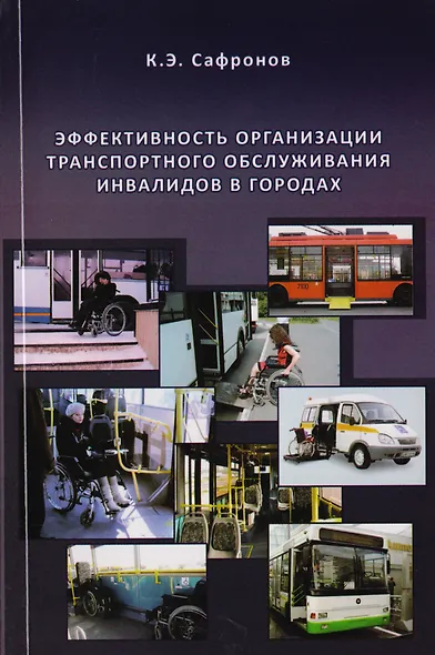 Эффективность организации транспортного обслуживания инвалидов в городах - фото 1