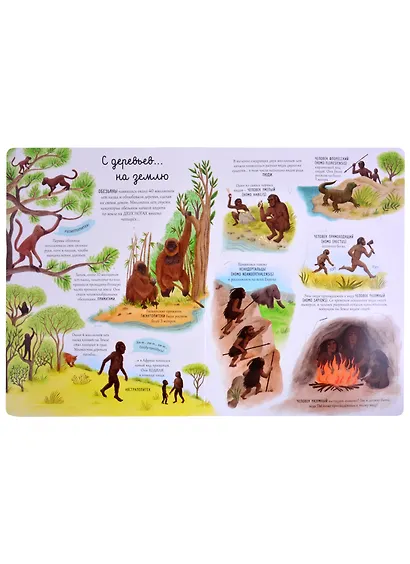 Эволюция. Более 55 секретных створок - фото 5