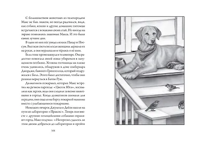 Верные. Книга 4. Дорога к дому - фото 9