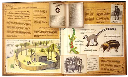 Пиратология - фото 6