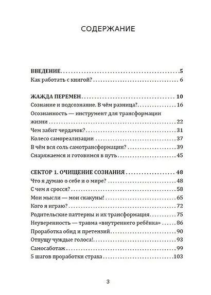 Колесо самореализации. Пошаговое руководство для трансформации жизни. Книга-тренинг - фото 2