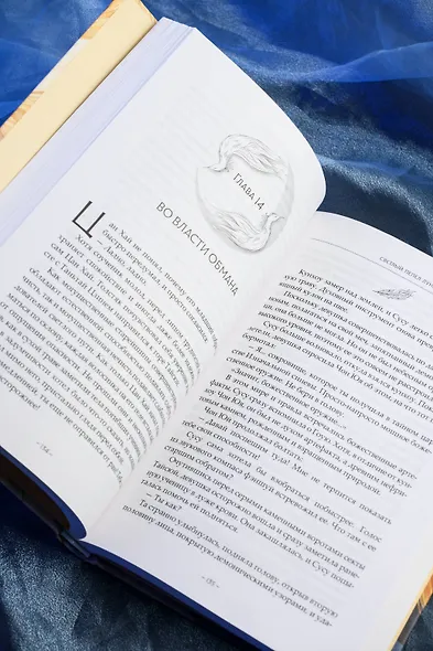 Светлый пепел луны. Книга 3. Новелла - фото 9