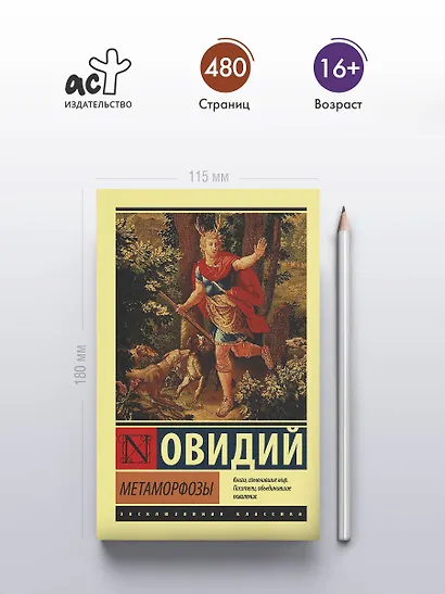 Метаморфозы - фото 4