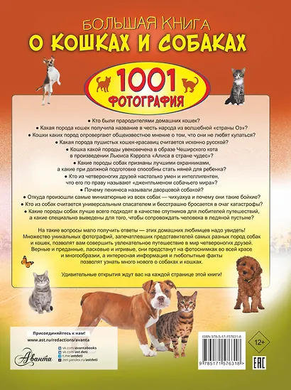 Большая книга о кошках и собаках. 1001 фотография - фото 2