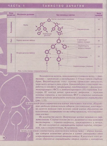Энциклопедия. Мы ждем ребенка. Таинство зачатия. Счастливая беременность. Успешные роды - фото 5