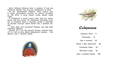 Стрижонок Скрип - фото 9