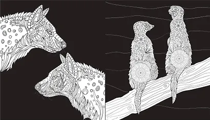 Оттенки природы. Раскраска на черном фоне - фото 6