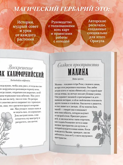Магический гербарий. 36 карт с посланиями от волшебных растений (Оракул. 36 карт и руководство в коробке) - фото 6