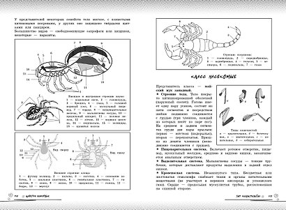 Биология. Прокачай свой уровень на максимум - фото 13