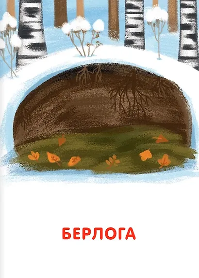 Подбери картинки. Кто где живет (36 карточек) - фото 3