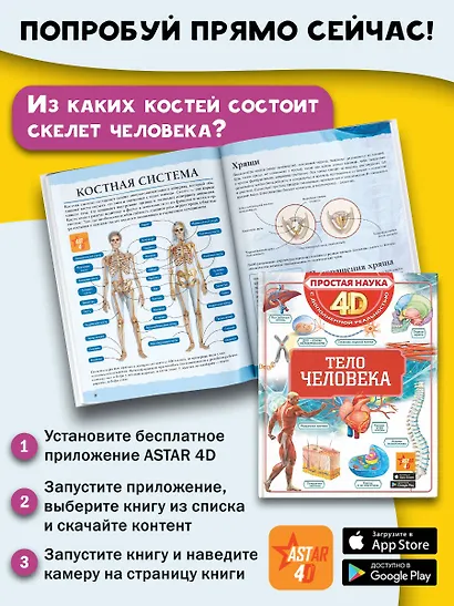 Тело человека - фото 7