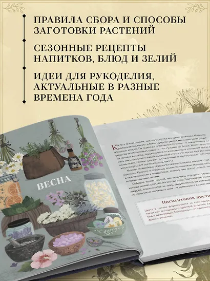 Травы. Магические запасы. Иллюстрированное руководство по сбору и заготовке волшебных растений, их полезным свойствам и сезонным ритуалам - фото 6