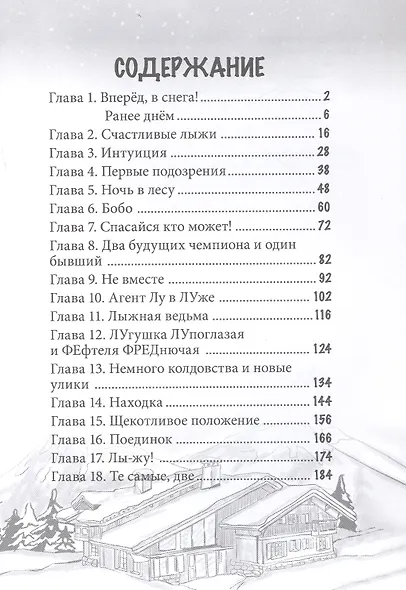 Кража в лыжной школе - фото 3