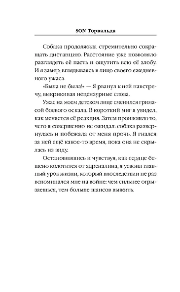Son Торвальда - фото 8