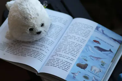 Наша страна Россия. Детская энциклопедия - фото 9