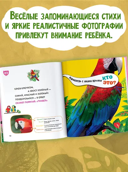 Птицы - фото 4