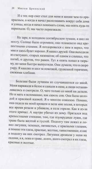 Дневник о Чарноевиче - фото 4