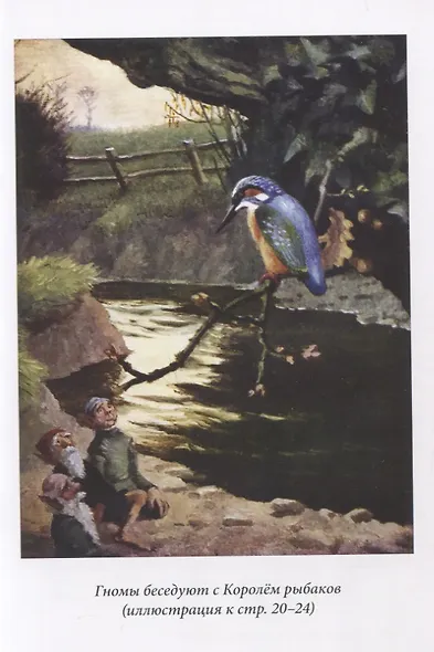 Вверх по Причуди и обратно. Удивительные приключения трех гномов - фото 3