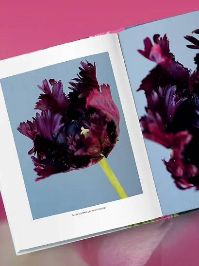 Тюльпаны. Великолепные цветы для дома и сада - фото 10