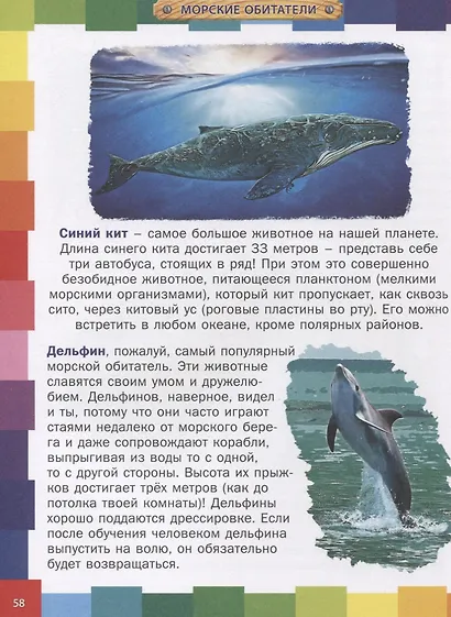 Животный мир для малышей.Детская энциклопедия - фото 2