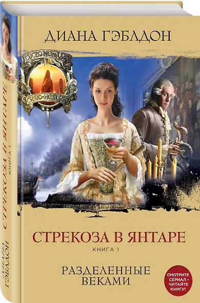 Стрекоза в янтаре. Книга 1. Разделенные веками - фото 3