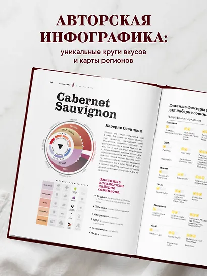 Виномания. Наглядный путеводитель по винному миру - фото 6